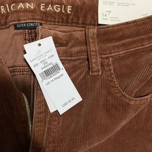 American eagle. Cords.